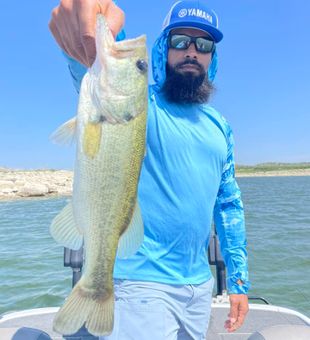 White Bass Fishing Trips